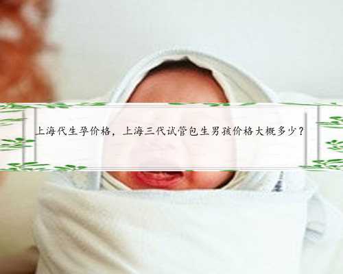 上海代生孕价格，上海三代试管包生男孩价格大概多少？