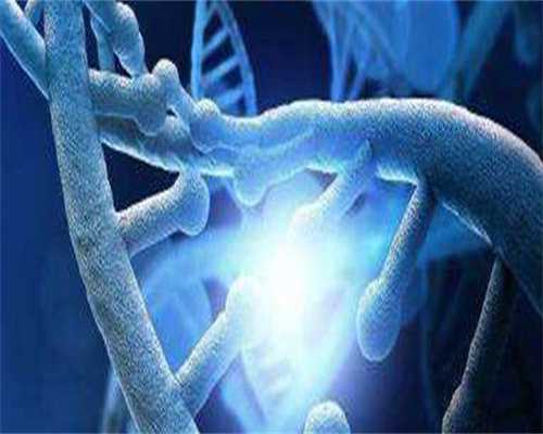 哈尔滨助孕中介_哈尔滨最权威助孕机构