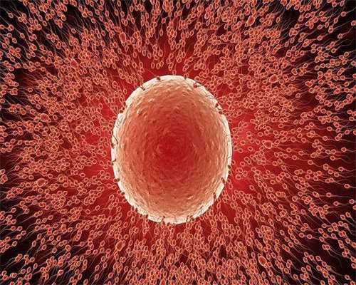 第二代代生中介哪家好包生男孩多少费用?费用因情况而定!