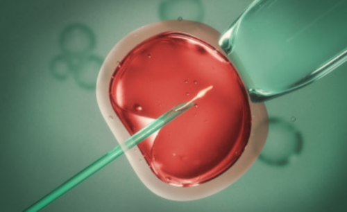 单身在国外做试管_供卵捐卵试管代孕,宝宝大便发黑是什么原因