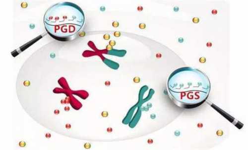 人工代孕公司,输卵管积水影响胚胎着床吗