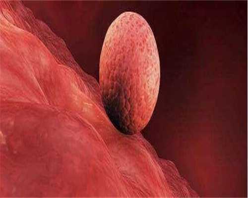 试管代孕结婚证怎么查,单身女性&拉拉辅助生育攻略之美国精子库名录
						