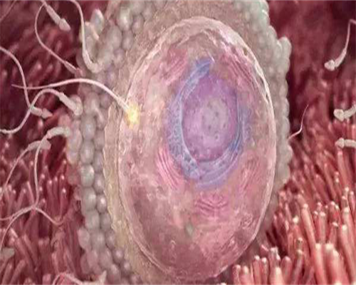 2026哈尔滨试管男孩医院排名清单？