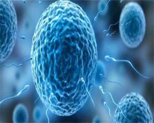 找代生机构检查之后马上就能进周 不同找代生机构方案的进周时间不相同