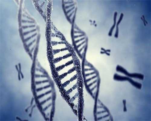 潮州试管医院排名！最新攻略！