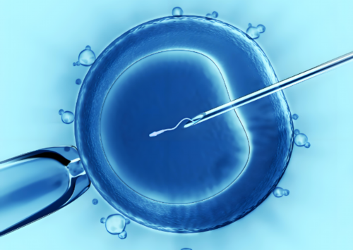 三代试管婴儿包成功,取精后精子恢复多长时间才能备孕？
						