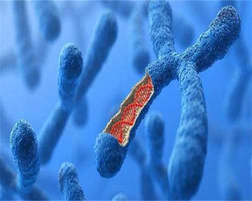 多囊卵巢怀不上孩子做试管代生借卵子成功率高吗?附试管代生借卵子助孕指南