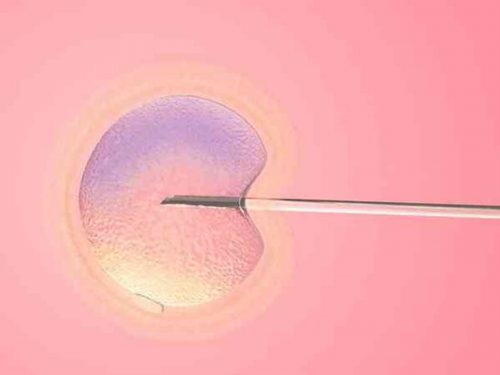 代孕成功率最高的中心,潍坊比较出名的不孕不育医院如何选择？潍坊市不孕不