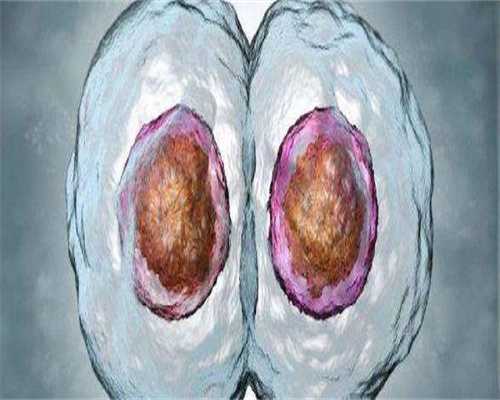 做美亚麟喜能代生吗用别人冻胚可以吗？