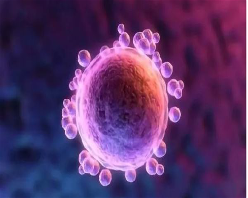 哈尔滨允许助孕试管吗现在(哈尔滨能做试管吗)