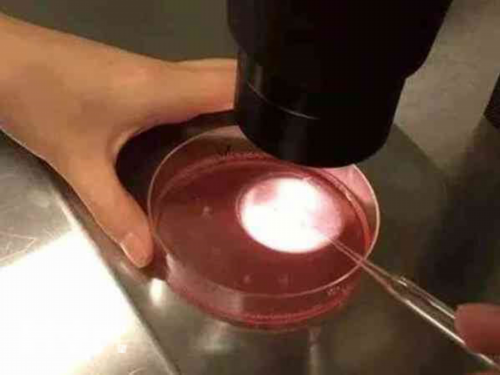 哈尔滨不孕不育检查项目费用？哪个医院好一看便知