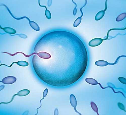 试管代孕儿子,输卵管积水能做试管婴儿吗