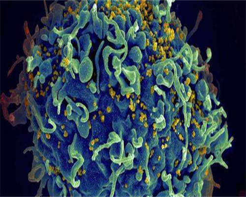 泰国代生最新费用费用跟成功率介绍分享!代生最新费用价格公布!