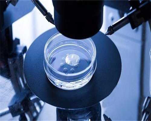 <strong>日本三代代生助孕三代代生助孕价格明细出炉(日本三代代生助孕成功率)</strong>