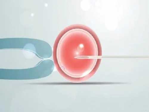 国内供卵代孕男孩费用_专业代孕机构排行榜,
胚胎移植当天摔跤了但