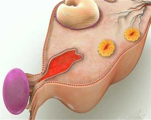 高龄试管包成功,不孕不育病症好治吗 揪出女性不孕的元凶