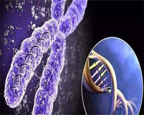 代孕试管中心哪家好,现在湛江可以做子宫移植手术吗(湛江市人工受孕医院哪个