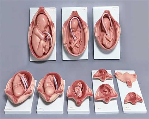 哈尔滨三代试管婴儿生子整体费用明细表