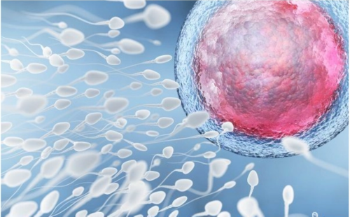 俄罗斯试管借卵成功率高的医院可靠吗?内附费用清单!