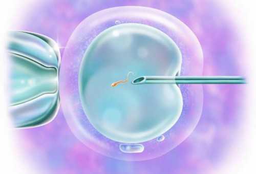 巧囊穿刺后多久可以试管 巧囊穿刺后多久试管促排好呢