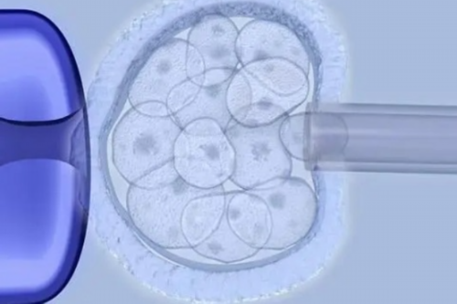 云南三代借卵试管代生孩子成功率排名前十的医院有哪些?