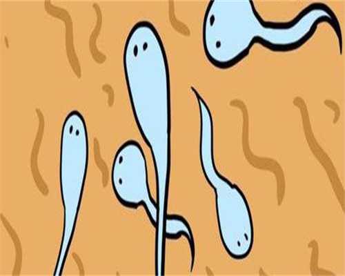 二代代生公司费用问题的价格一般多少钱