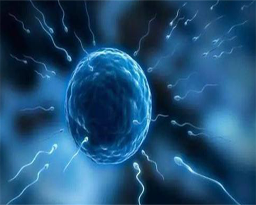 宁波代生需要多少费用成功率高的医院最新排名