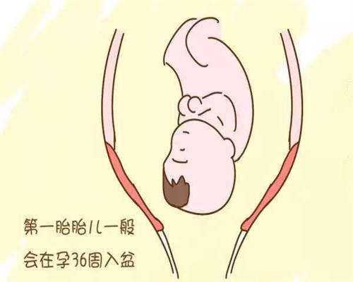 2026保定三代试管医院一次能成功吗,附详细试管婴儿介绍
