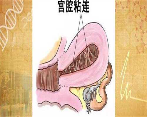 代生男孩中介：hcg值39有没有怀孕，怀孕38天hcg值多少为正常值