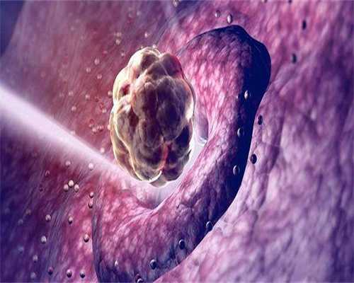 辽宁省试管助孕生宝宝多少钱才够