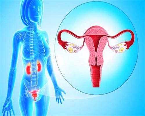 做试管的花费多少钱(做试管得花多少钱)