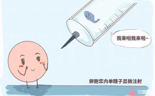 做试管需要做宫腔手术吗