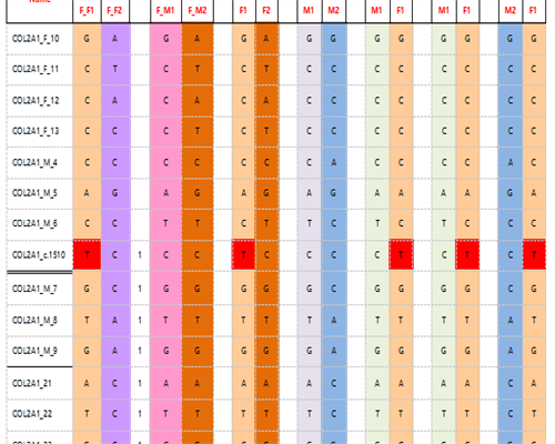代孕套餐介绍：宫颈机能不全最危险的月份-宫颈机能不全几个月容易流产