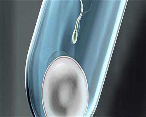 试管代孕预约平台_代孕机构哪里最专业,青海西宁试管婴儿哪个医院好