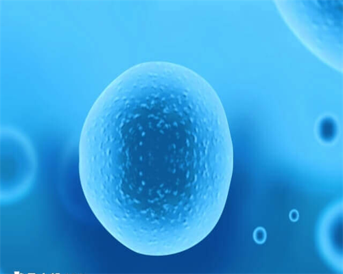 在哈尔滨打工经历分享三代试管婴儿，收费情况如何！