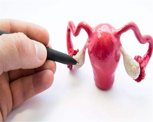 北京哪里分娩三代私立实验室供卵医院推荐,附私立实验室供卵价格明细!