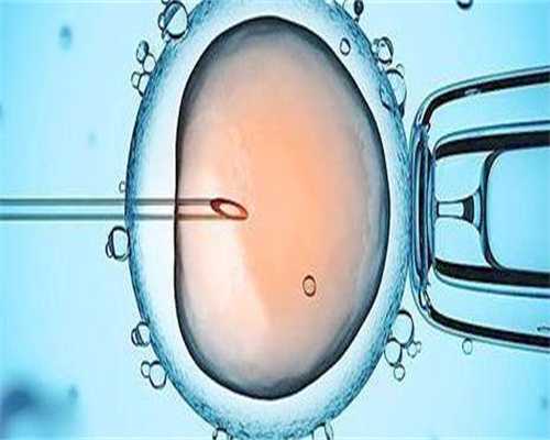 东营助孕生子的费用明细,附各助孕山西代生试管婴儿成功率