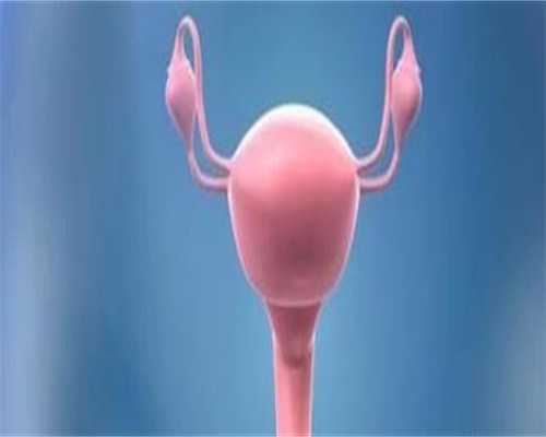 身体健康的允许代生的国家成功率 身体健康的允许代生的国家成功率有多高