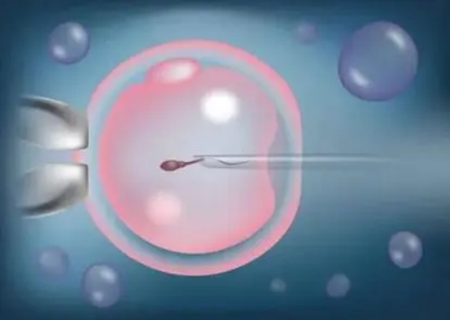 哈尔滨试管婴儿技术好的医院有哪些？哈尔滨市试管婴儿哪家医院好？