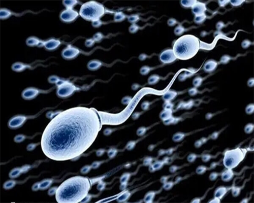 代孕之母,老公精子活性低可以试管吗
