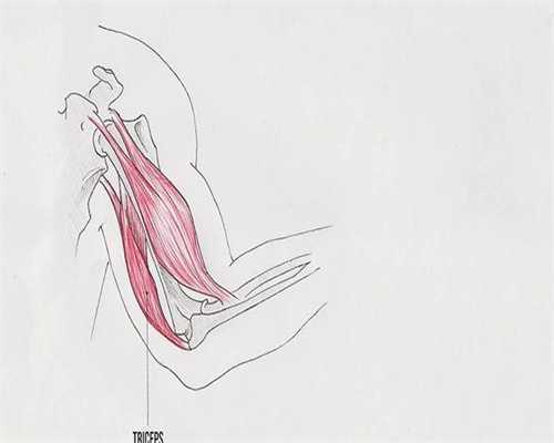 哈尔滨7家试管婴儿医院大全,2026助孕成功率排行榜参考