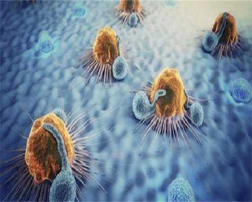 2026吉林能做借卵最靠谱的代生的医院排名？附详细吉林最靠谱的代生医院介绍