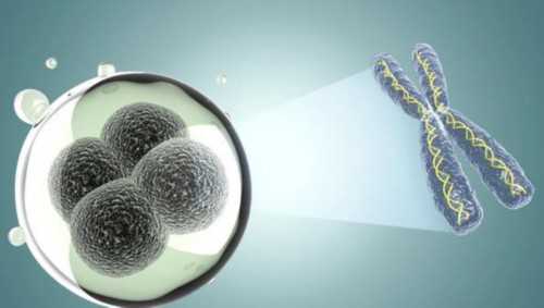 荆门做三代有哪些代生机构成功率高的医院靠谱吗！十二万够不够！