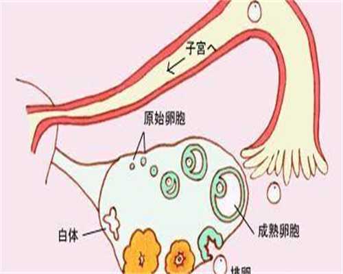 2026年哈尔滨能够通过试管婴儿试管助孕的医院名单，当地仅有4家医院能做试管