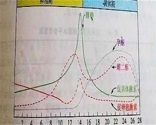 代生双胞胎价格冻胚移植前达菲林降调针什么时候打效果比较好？