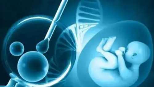 有附件炎影响试管移植吗？孕妇有附件炎影响试管移植吗？