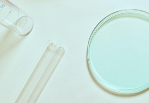 建阳可以做第三代试管代生借卵囊胚移植的正规医院在哪里？