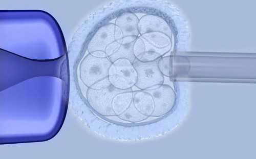 私人医院做第二代试管代生费可以选择*女孩吗