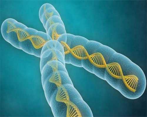 代孕服务包成功,茂名市试管不需要结婚证的医院哪里最好(茂名不孕不育哪个医